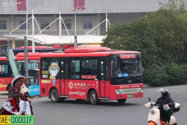 浙E05198D