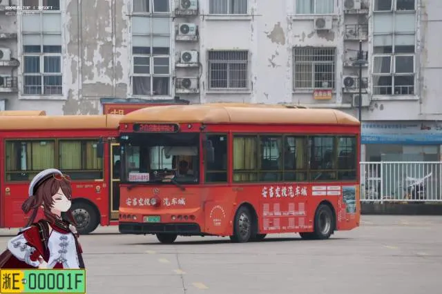 浙E07567D