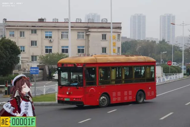 浙E07181D