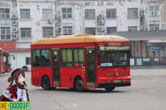 浙E07575D