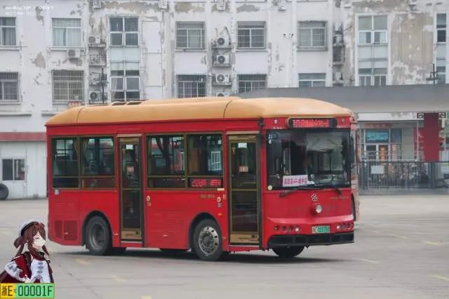 浙E00376D