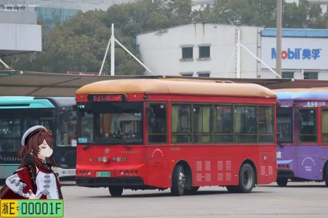 浙E05919D