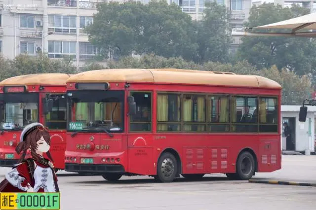 浙E00186D