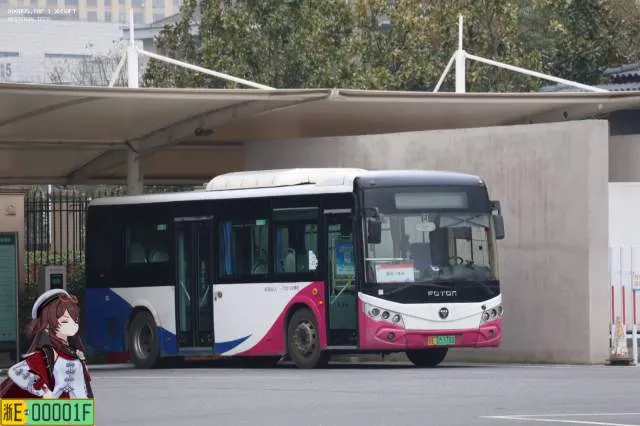 浙E05378D