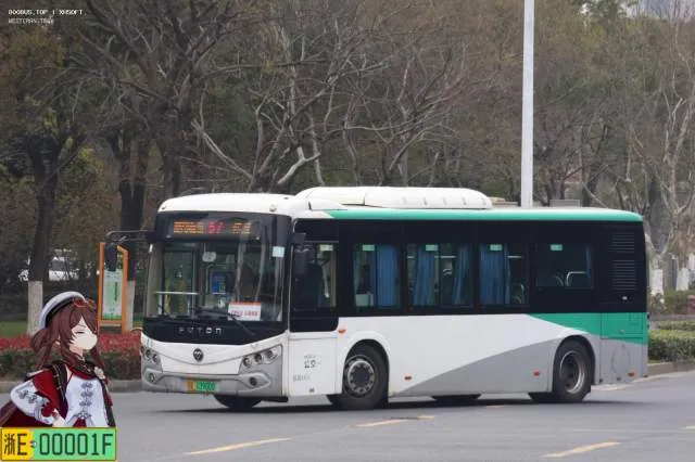 浙E03960D