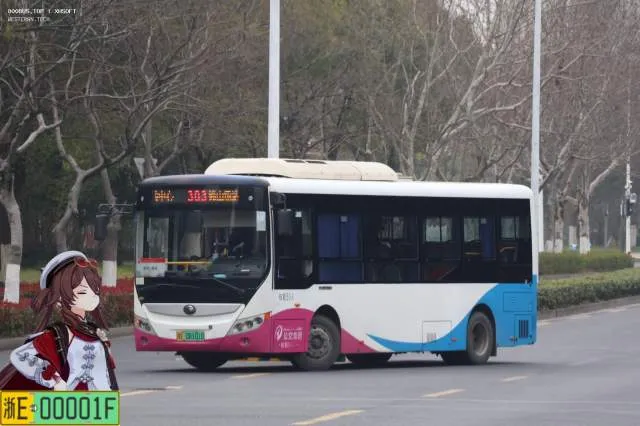 浙E08101D