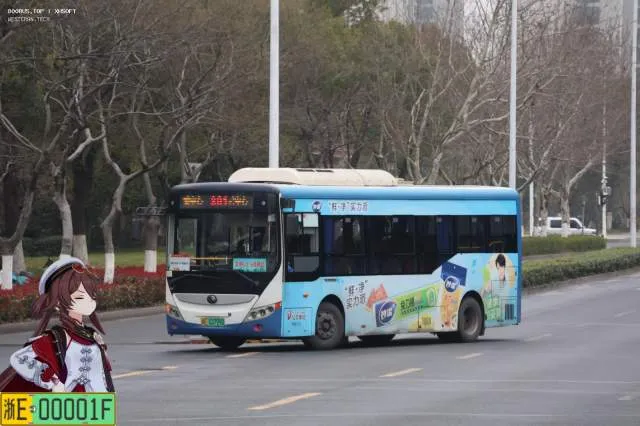 浙E03799D