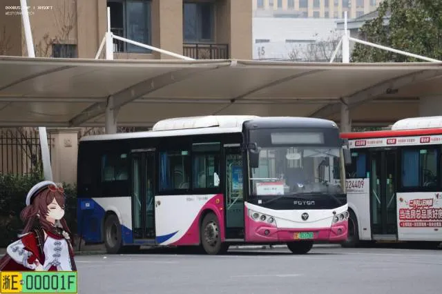 浙E05378D