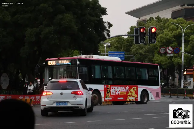 沪A 我不知道D