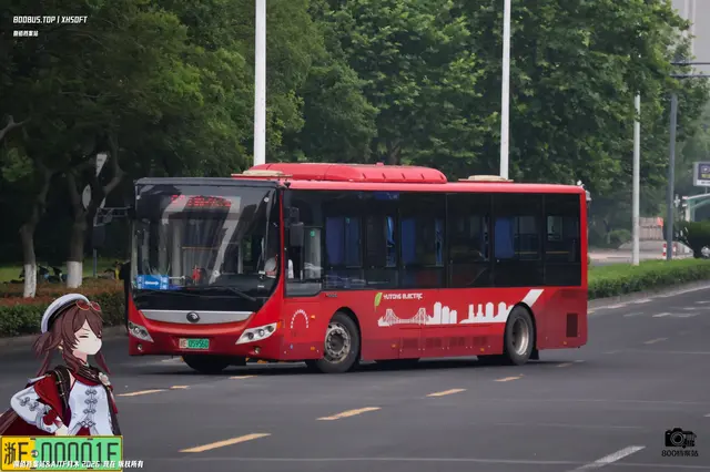 浙E 05956D
