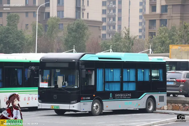 800BUS