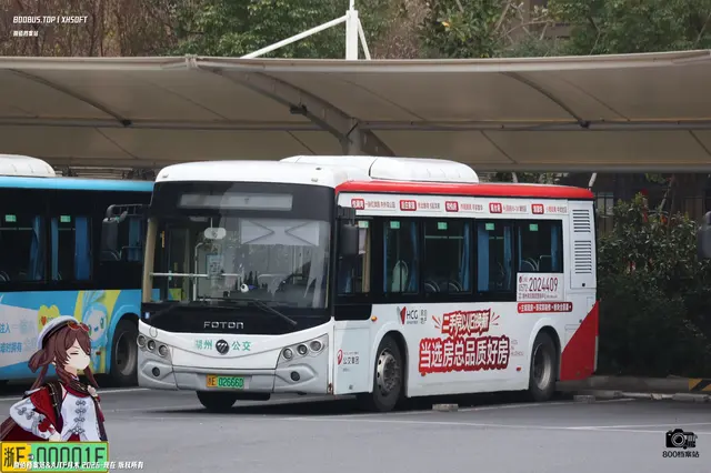 浙E 02666D