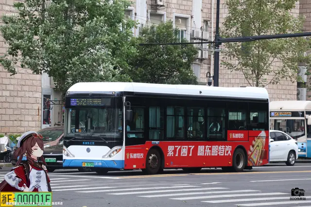 沪A 36759D