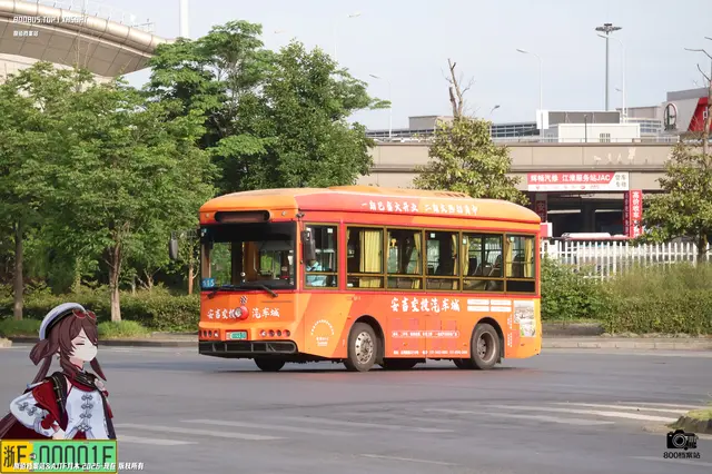 浙E 00336D