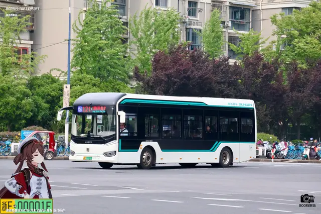 沪A 31121D