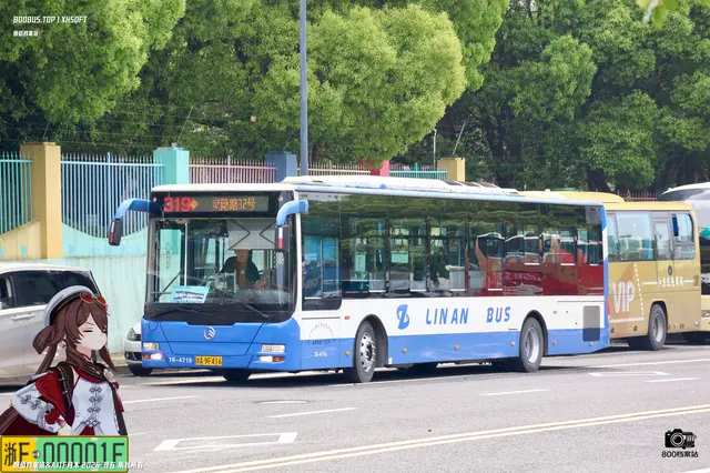浙A9F416