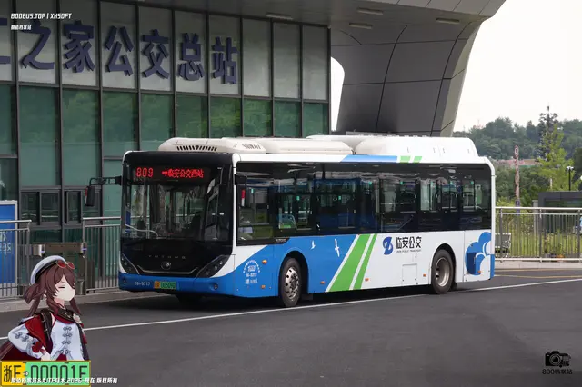 浙A 00509D