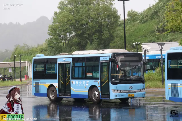 浙A 6N711