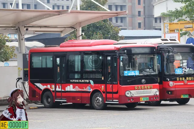 浙A 03768D