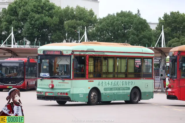 浙E 00379D