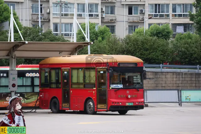 浙E 06776D