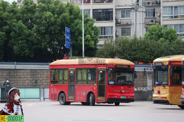 浙E 00338D