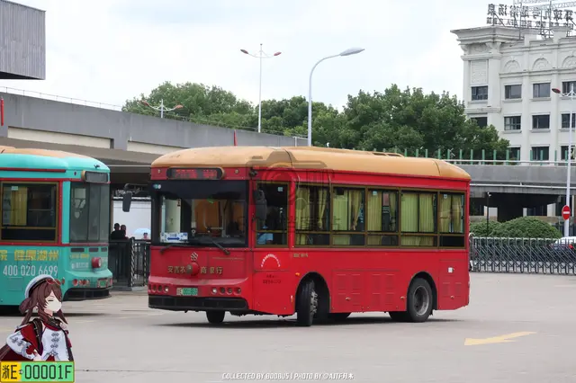 浙E 00186D