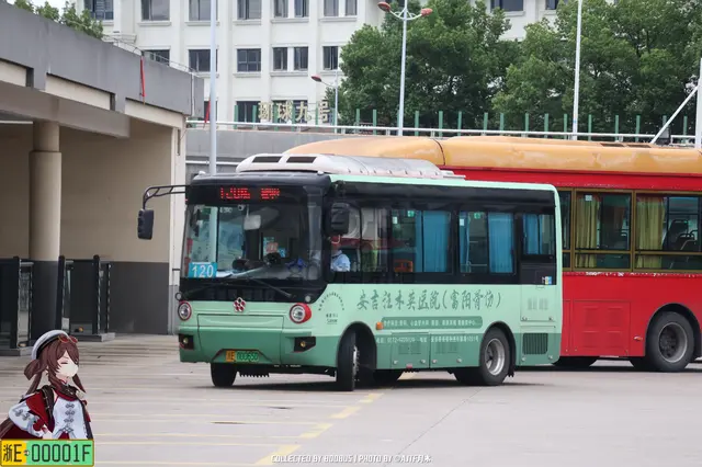 浙E 00065D