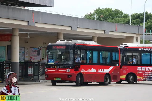 浙E 06939D