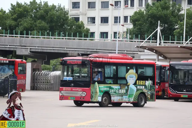 浙E 05198D