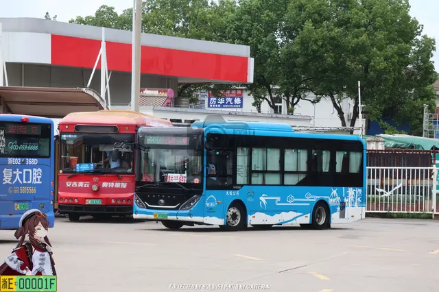 浙E 07800D