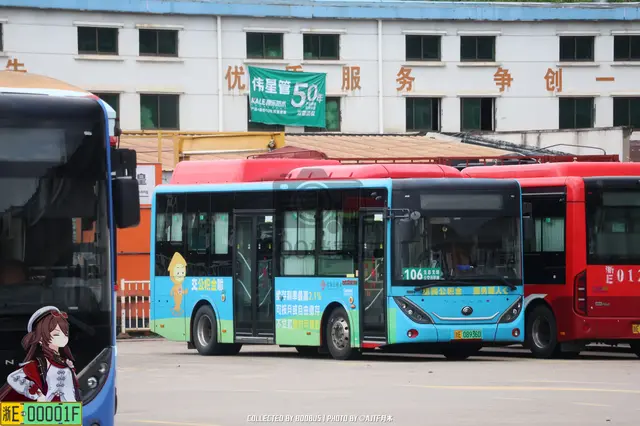 浙E 08936D