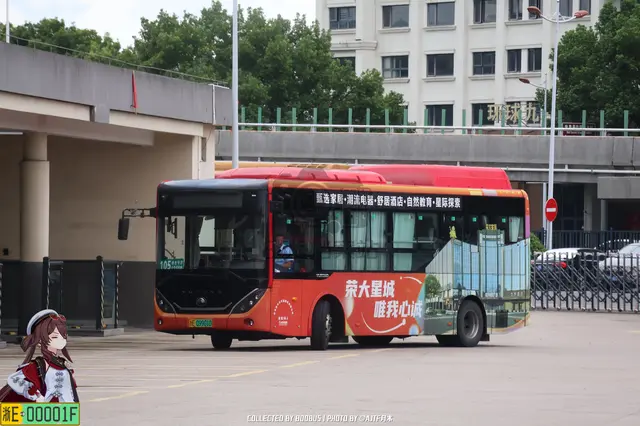 浙E 09901D