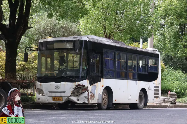 浙A 8F850