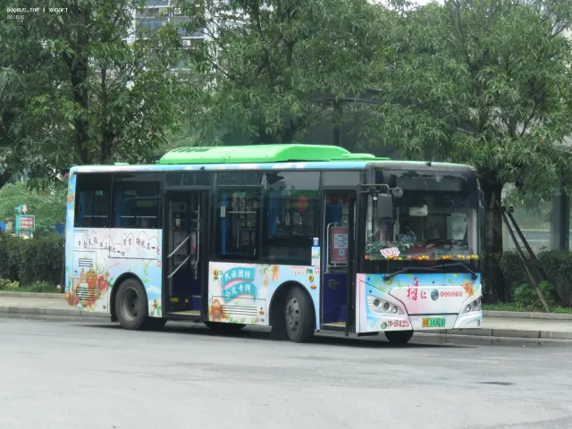 800BUS