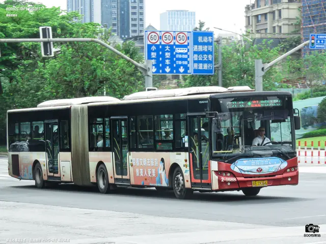 桂B 39366