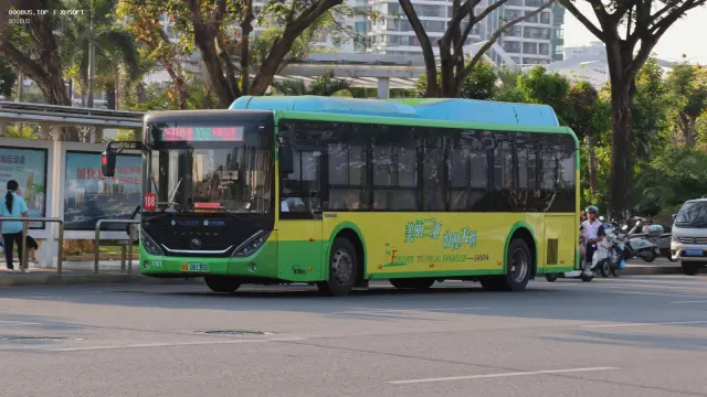 琼B 08136D