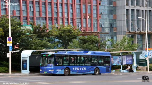 800BUS