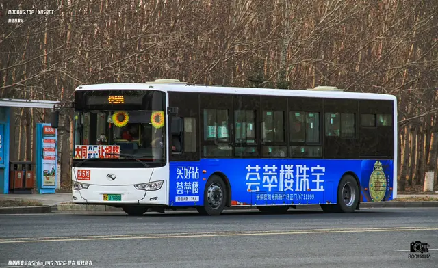 800BUS