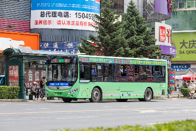 黑M 08335D
