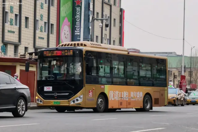 800BUS