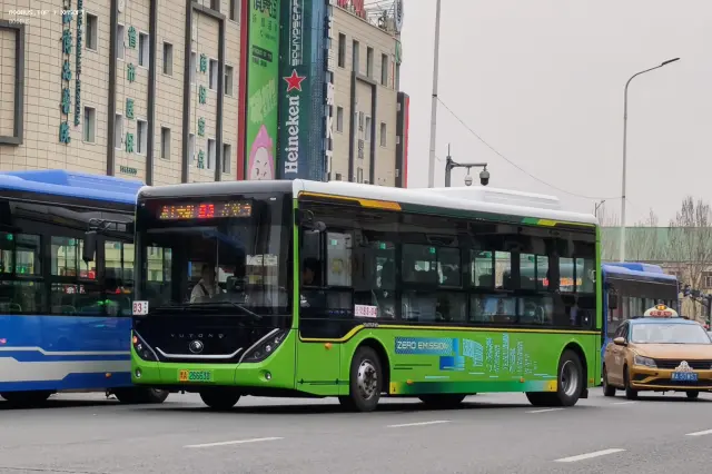 800BUS