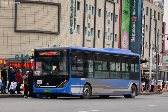 800BUS