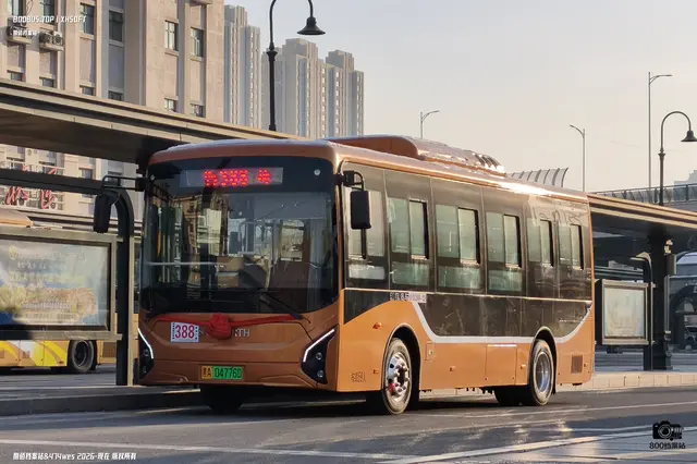 800BUS