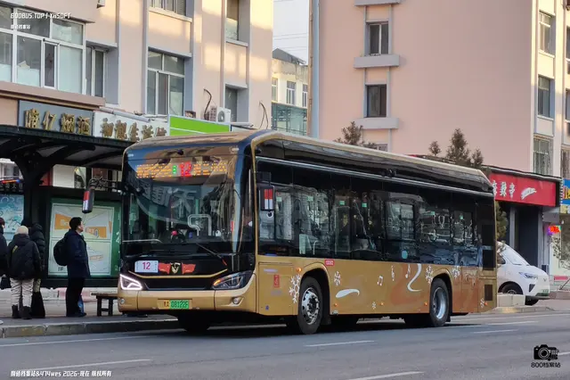 800BUS