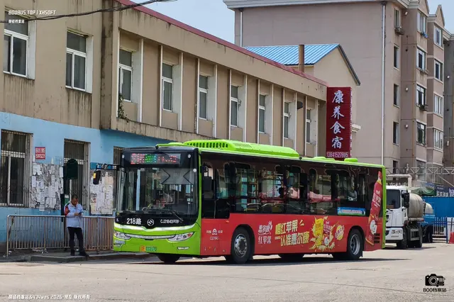 辽F 01217D