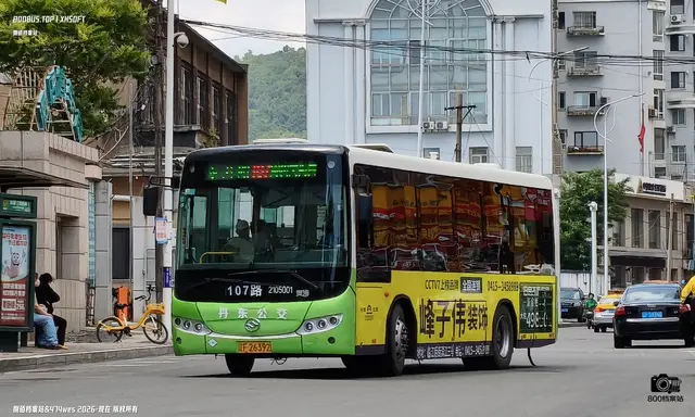 辽F 26392