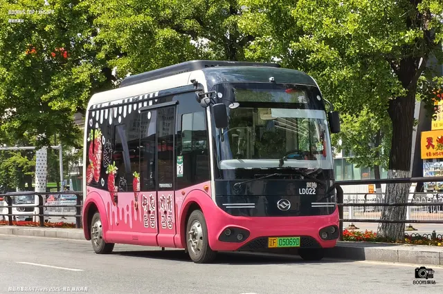 辽F 05069D