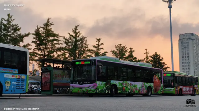 辽F 07860D
