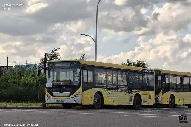 黑A 09790D